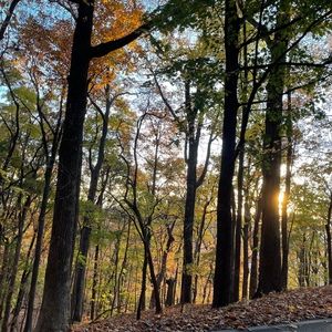 Meet your Posher, Autumn